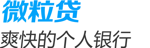 微粒贷 最爽快的个人银行